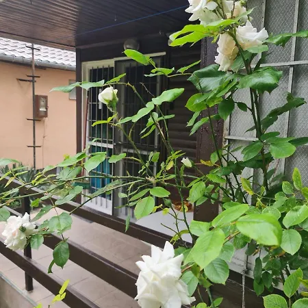 Nebel Vendeghaz Apartman *